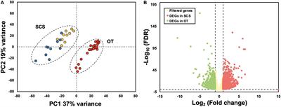 Population Genetic Structure and Gene Expression Plasticity of the Deep-Sea Vent and Seep Squat Lobster Shinkaia crosnieri